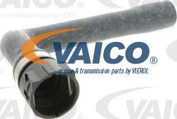 VAICO V10-0895 - Radiator Hose autospares.lv