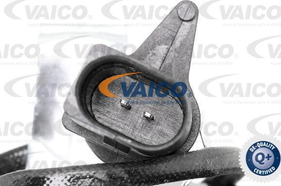 VAICO V10-8141 - Brake Pad Set, disc brake autospares.lv