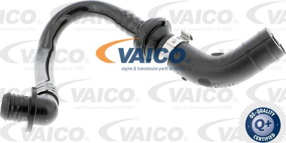 VAICO V10-3612 - Vacuum Hose, braking system autospares.lv