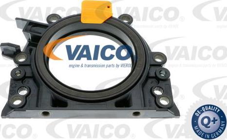 VAICO V10-3686 - Shaft Seal, crankshaft autospares.lv