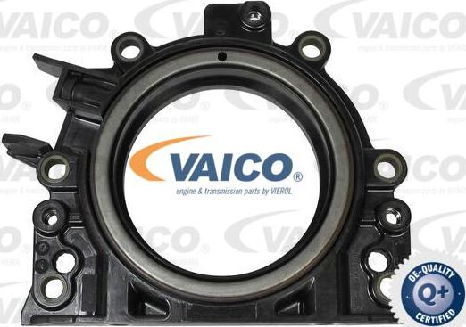 VAICO V10-3262 - Shaft Seal, crankshaft autospares.lv