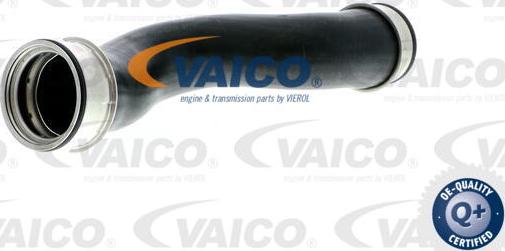 VAICO V10-3208 - Charger Intake Air Hose autospares.lv