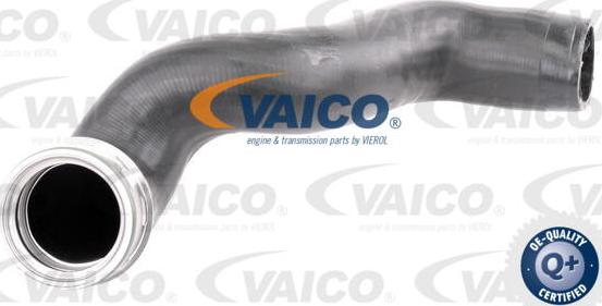 VAICO V10-3786 - Charger Intake Air Hose autospares.lv