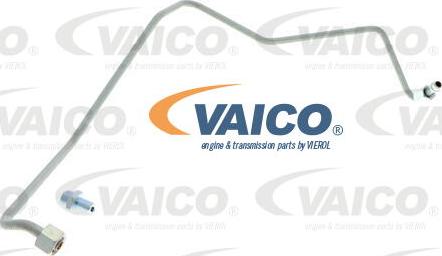 VAICO V10-3733 - Oil Pipe, charger autospares.lv