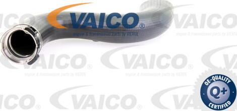 VAICO V10-3778 - Charger Intake Air Hose autospares.lv