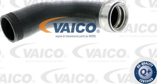 VAICO V10-2699 - Charger Intake Air Hose autospares.lv