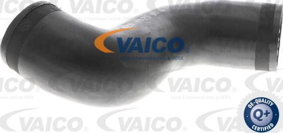 VAICO V10-2895 - Charger Intake Air Hose autospares.lv