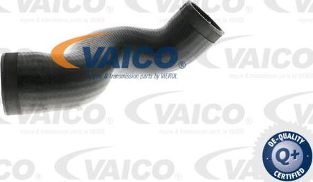 VAICO V10-2893 - Charger Intake Air Hose autospares.lv