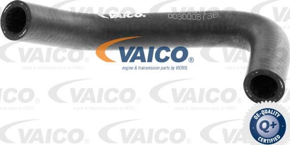 VAICO V10-2814 - Radiator Hose autospares.lv