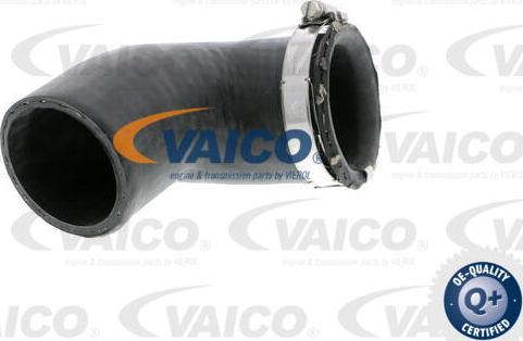 VAICO V10-2881 - Charger Intake Air Hose autospares.lv