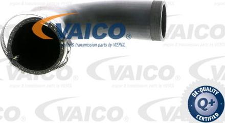 VAICO V10-2830 - Charger Intake Air Hose autospares.lv