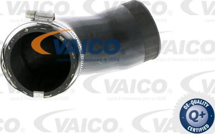 VAICO V10-2831 - Charger Intake Air Hose autospares.lv