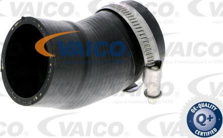 VAICO V10-2828 - Charger Intake Air Hose autospares.lv