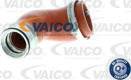 VAICO V10-2870 - Charger Intake Air Hose autospares.lv