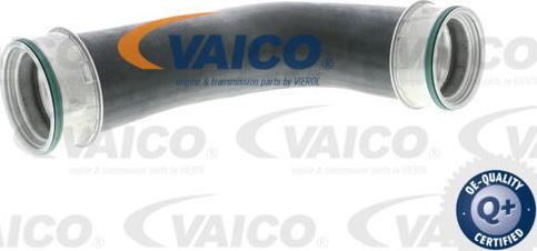 VAICO V10-2871 - Charger Intake Air Hose autospares.lv