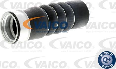 VAICO V10-2872 - Charger Intake Air Hose autospares.lv