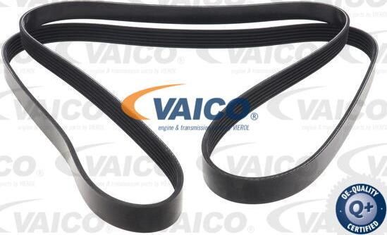 VAICO V10-7957 - V-Ribbed Belt autospares.lv