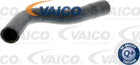 VAICO V30-0247 - Radiator Hose autospares.lv