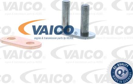 VAICO V30-2319 - Timing Chain autospares.lv