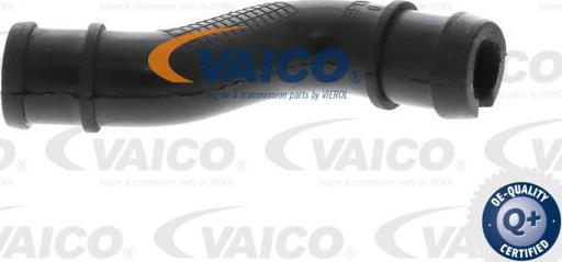 VAICO V24-1293 - Hose, crankcase breather autospares.lv