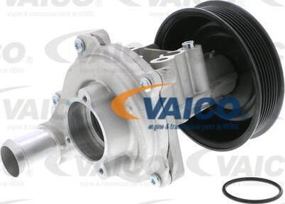 VAICO V25-50022 - Water Pump autospares.lv