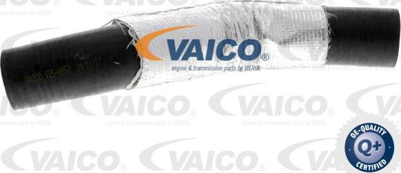 VAICO V25-0950 - Charger Intake Air Hose autospares.lv