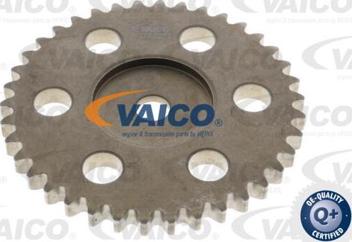 VAICO V25-10004-SP - Timing Chain Kit autospares.lv