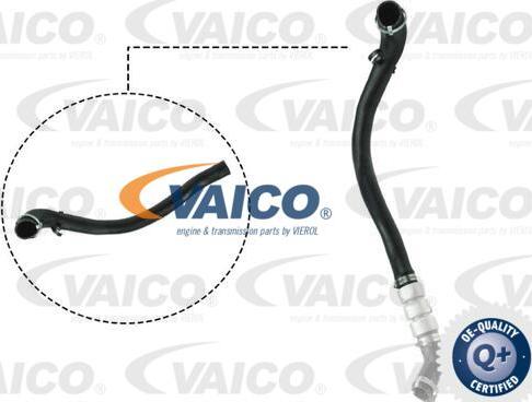 VAICO V25-1038 - Charger Intake Air Hose autospares.lv