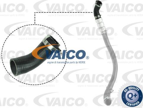 VAICO V25-1037 - Charger Intake Air Hose autospares.lv