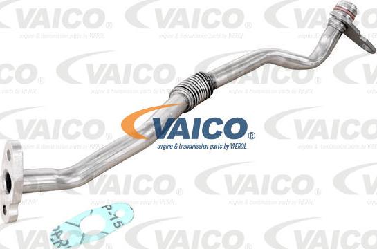 VAICO V25-2593 - Oil Pipe, charger autospares.lv