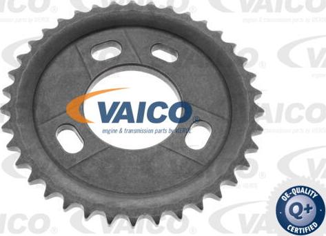 VAICO V25-2170 - Gear, camshaft autospares.lv