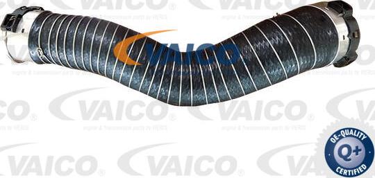 VAICO V20-4354 - Charger Intake Air Hose autospares.lv