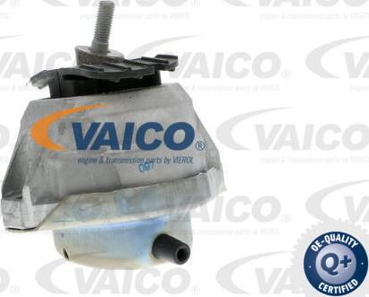 VAICO V20-0498 - Holder, engine mounting autospares.lv
