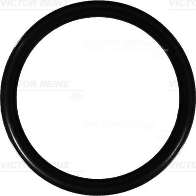 Victor Reinz 40-76295-00 - Seal Ring autospares.lv