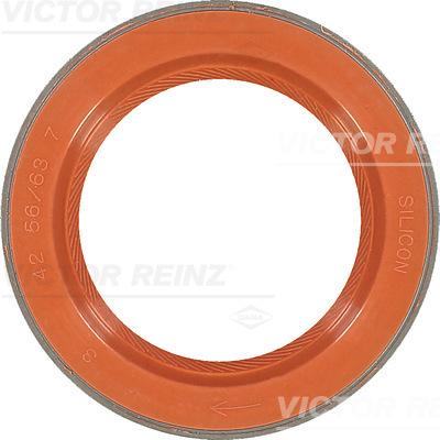 Victor Reinz 81-35876-00 - Shaft Seal, crankshaft autospares.lv