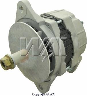 WAI 8076N-USA - Alternator autospares.lv