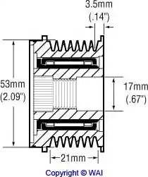 WAI 24-91103-3 - Pulley, alternator, freewheel clutch autospares.lv