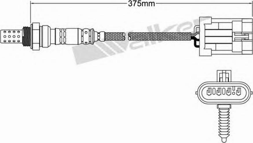 Walker 250-24012 - Lambda Sensor autospares.lv