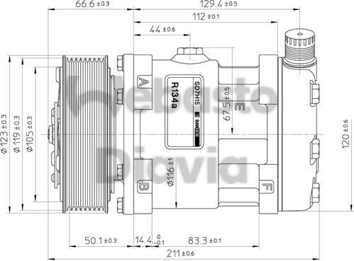 Webasto 82D015506CA - Compressor, air conditioning autospares.lv