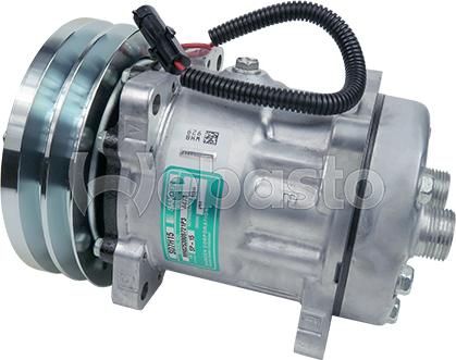 Webasto 82D0156150MA - Compressor, air conditioning autospares.lv