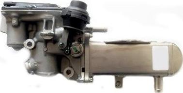 WE PARTS 330690376 - EGR Valve autospares.lv