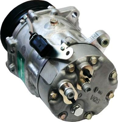 WE PARTS K11224 - Compressor, air conditioning autospares.lv