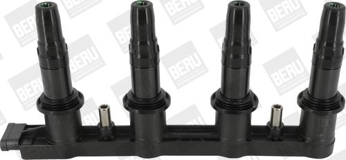 Wilmink Group WG1940729 - Ignition Coil autospares.lv