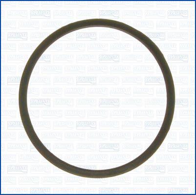 Wilmink Group WG1956197 - Gasket, thermostat autospares.lv