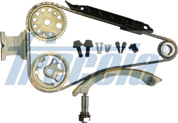 Wilmink Group WG1909991 - Timing Chain Kit autospares.lv