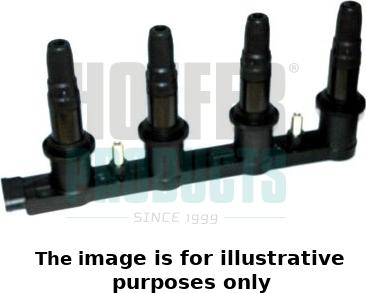 Wilmink Group WG1902117 - Ignition Coil autospares.lv