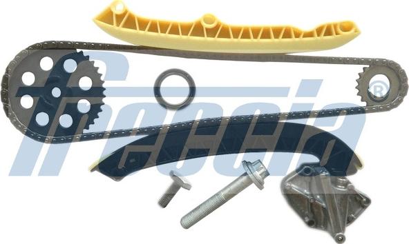 Wilmink Group WG1910083 - Timing Chain Kit autospares.lv