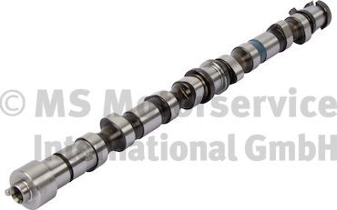 Wilmink Group WG1924830 - Camshaft autospares.lv
