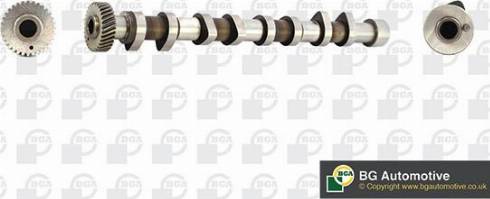 Wilmink Group WG1490480 - Camshaft autospares.lv