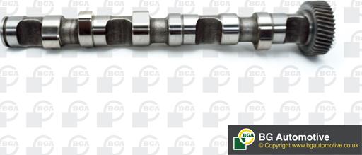 Wilmink Group WG1490479 - Camshaft autospares.lv